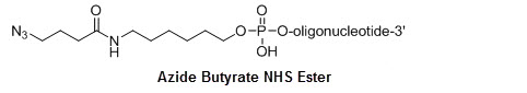 Bio-Synthesis Inc. Oligo Structure